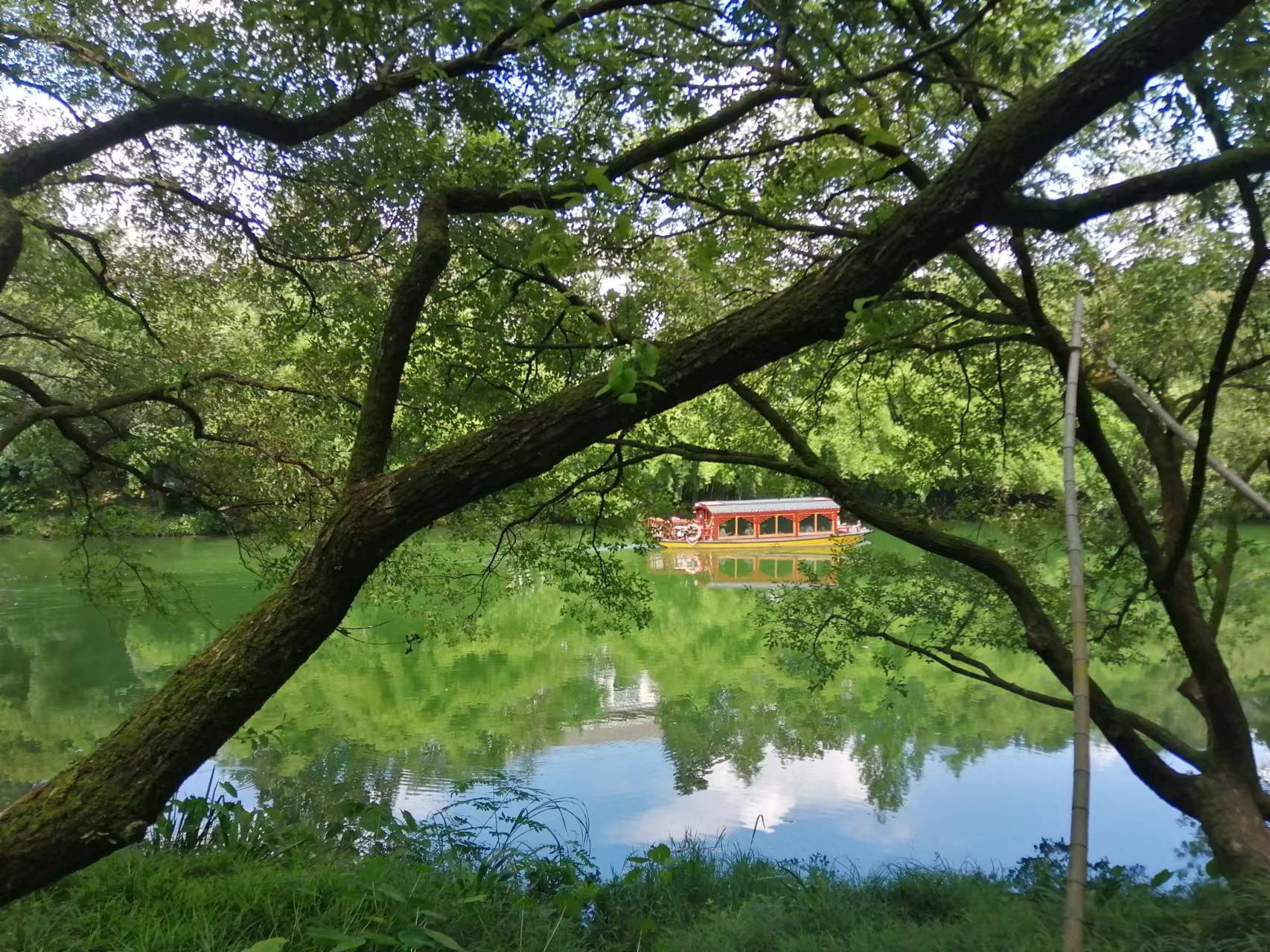 個人所得稅正確申報，避免對申報戶籍的員工造成影響